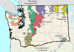 Washington's national forests