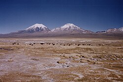 Volcanoes in Sajama National Park (Parinacota and Pomerape)