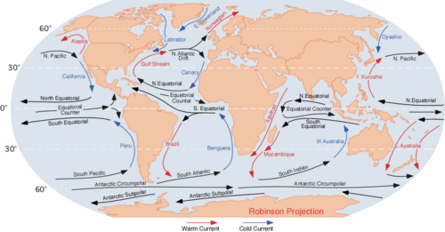 Diagram of the major ocean currents, showing the Antarctic Circumpolar Current (ACC). In addition to the global thermohaline circulation, the ACC strongly influences regional and global climate.