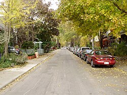 Autumn trees lean over De Grassi Street.