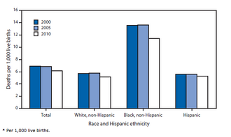 Data indicating the IMR disparity between infants non-Hispanic black postpartum parent's and infants of white or Hispanic postpartum parents in the United States from 2000 to 2010[154]