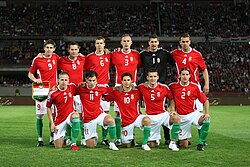 Hungary in 2010 FIFA World Cup qualification against Sweden at Ferenc Puskás Stadium on 5 September 2009