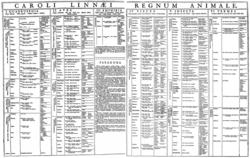 Table of the Animal Kingdom (Regnum Animale) from the 1st edition of Systema Naturæ (1735), in which Linnaeus divides animals into quadrupeds, birds, amphibians, fish, insects, and worms.