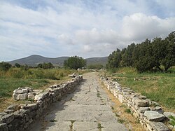 The Sacred Way