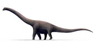Bruhathkayosaurus, potentially the largest terrestrial animal to ever exist