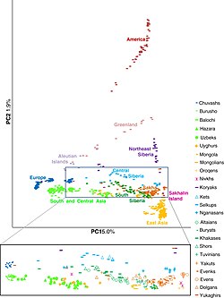 Principal component analysis showing the Native American cluster in other Eurasian populations.[282]