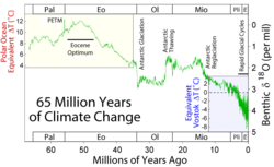 Climate change during the last 65 million years[51]