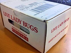 Hippodamia convergens, the convergent lady beetle, is commonly sold for biological control of aphids.