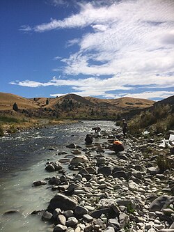 Palaeontologists sieving for fossils in the Manuherikia River