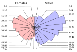 Example of a superimposed disc diagram: Car accidents are distributed across age groups, male and female. The central angle represents age, while the radius represents the number of people in that age group who were involved in an accident.