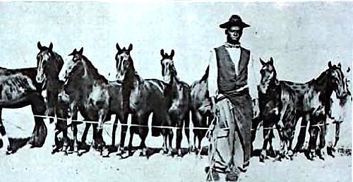Black gauchos were commonplace in the Brazil-Uruguay borderlands, though rarely publicised. An exceptional early 20th century photograph.