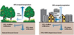 Diagram showing impact of ground cover on evapotranspiration and other water usage factors