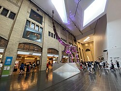 A replica skeleton of Futalognkosaurus inside the Hyacinth Gloria Chen Crystal Court
