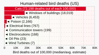 Number of bird-window collisions versus other human-related causes of bird deaths.