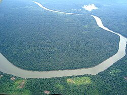 Aerial view of part of the Amazon rainforest
