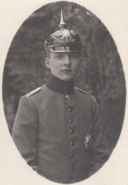 Joachim Ernst, Duke of Anhalt, 1918