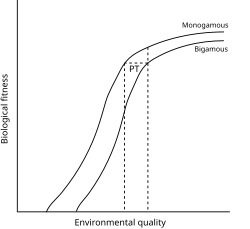 Polygyny threshold model graph