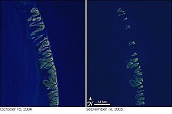 The Chandeleur Islands, before Katrina (left) and after (right), showing the impact of the storm along coastal areas