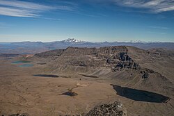 Tundra on the Kerguelen Islands.