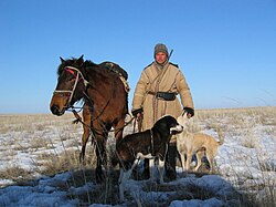 Kazakh shepherd with horse and dogs. Their job is to guard the sheep from predators.