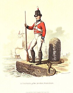 1815 illustration of a Royal Marine private by Charles Hamilton Smith