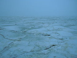 Ice on the Gulf of Odesa