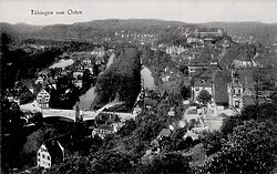Tübingen from Österberg, Neckarinsel in the centre and the houses of the student fraternities (Studentenverbindungen and Burschenschaften) in the right foreground