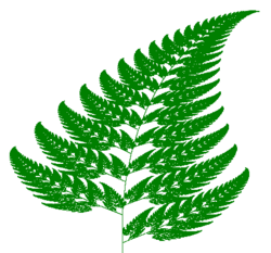 Barnsley fern created using a chaos game, through an Iterated function system[71]