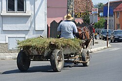 Horse-drawn transport of fodder in Romania