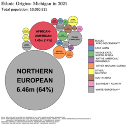 Ethnic origins in Michigan in 2021.Largest alone or in any combination ethnic origin by county in Michigan, per the 2020 census