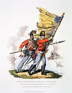 In the age of line tactics, the unit colour was an important rallying point for infantry soldiers.