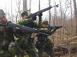 Swedish conscripts in 2008.