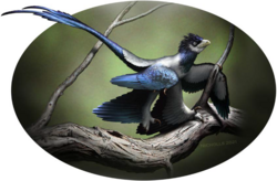 Life restoration of the feathered Wulong with colors inferred from preserved melanosomes