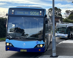 School buses operated by U-go Mobility in Sydney, NSW