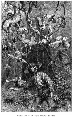 Henry Walter Bates was most famous for his expedition to the Amazon (1848–1859).