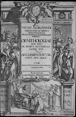 Cover of Ulisse Aldrovandi's Ornithology, 1599