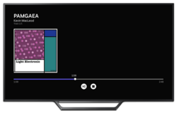 A TV set streaming an audio file from a local home server