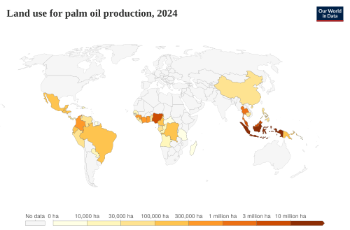 Land use for palm oil