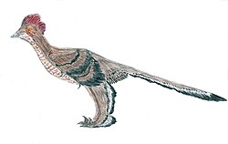 Xiaotingia