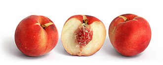White peach of the clingstone variety