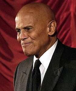 Belafonte at the 2011 Viennale