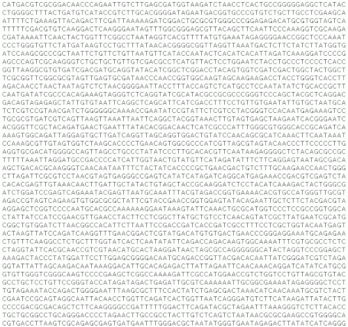 Part of DNA sequence – prototypification of complete genome of virus