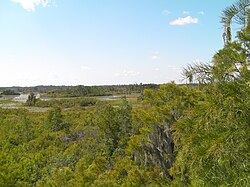 Okefenokee Swamp