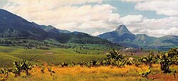 Mount Murresse in Gurué (tea plantation).