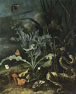 Otto Marseus van Schrieck, A Forest Floor Still-Life (1666)