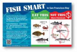 Fish consumption advisory poster for San Francisco Bay
