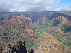 Waimea Canyon, Hawaii, is known for its montane vegetation