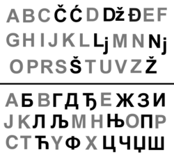 The standard Serbian language uses both the Cyrillic and the Latin script. Serbian is a rare example of synchronic digraphia, a situation where all literate members of a society have two interchangeable writing systems available to them.