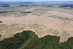 Deforestation in the Maranhão state, Brazil, in July 2016
