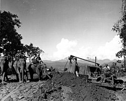 A bulldozer operated by Sergeant C. G. McCutcheon of the 1304th Engineer Construction Battalion on Ledo Road in Burma in 1944